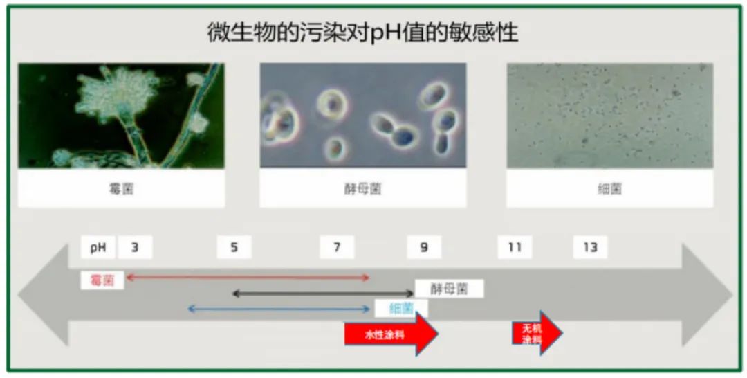 久诺高效无机涂料抗菌